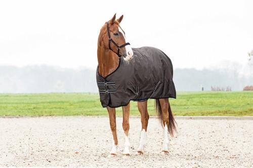 HorseGuard Regndækken 0g