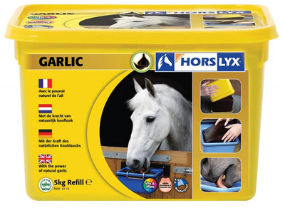 Horslyx Garlic