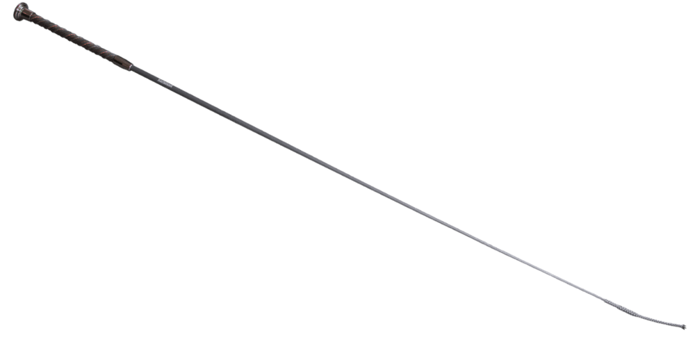Karlslund carbon pisk