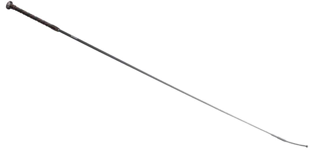 Karlslund carbon pisk