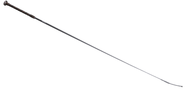 Karlslund carbon pisk
