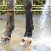 LeMieux Mud Boots foldgamacher