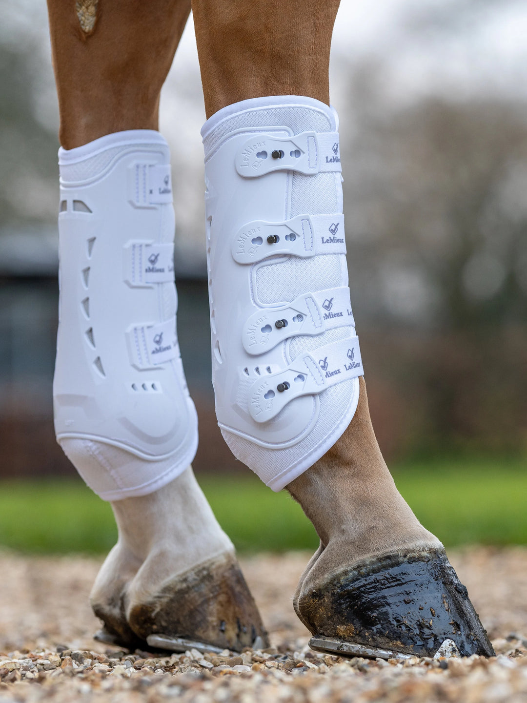 LeMieux Ultra Mesh Snug gamache