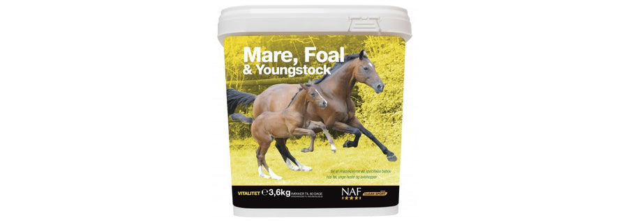 NAF Mare, Foal & Youngstock
