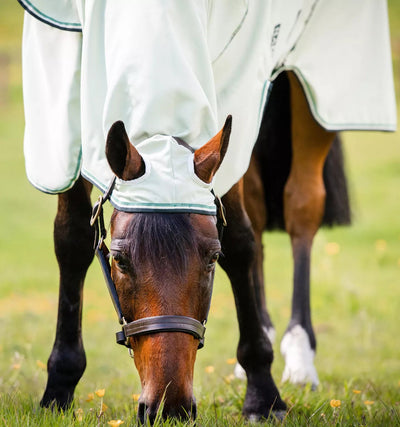 Horseware Rambo Hoody insektdækken