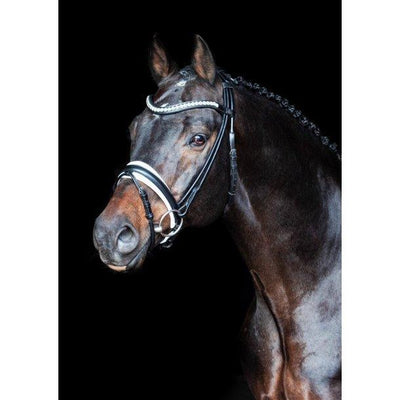 CROWN by SD Design Duke De Niro rundsyet trense