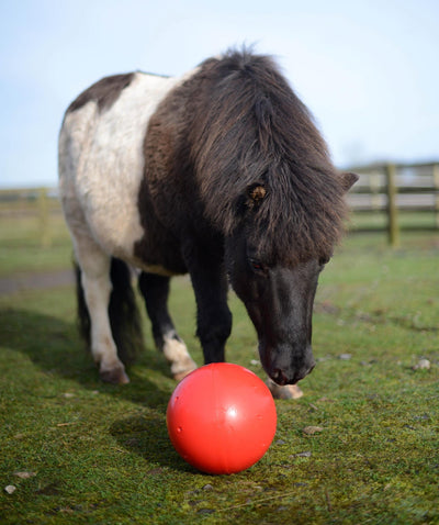 Likit Snak a Ball