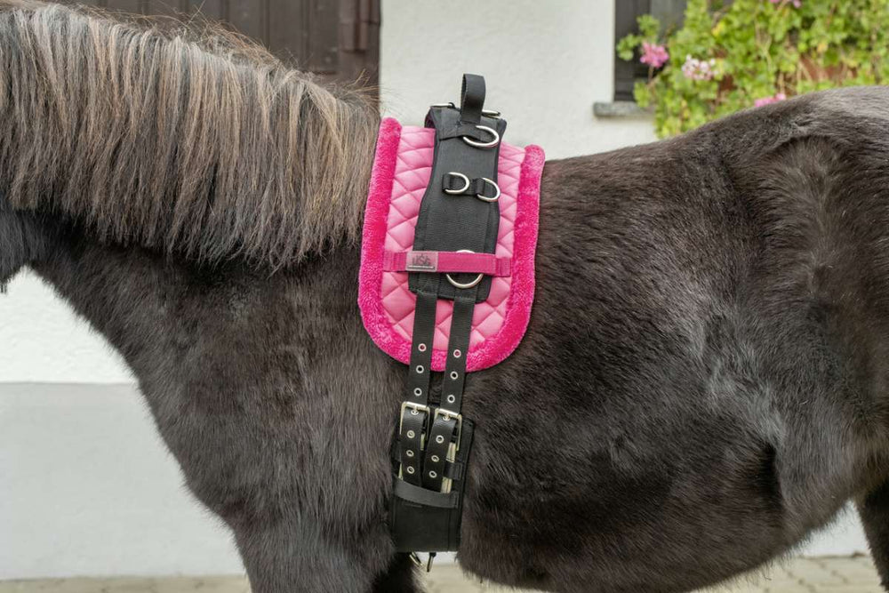 USG Mini Shetty longeringsgjord