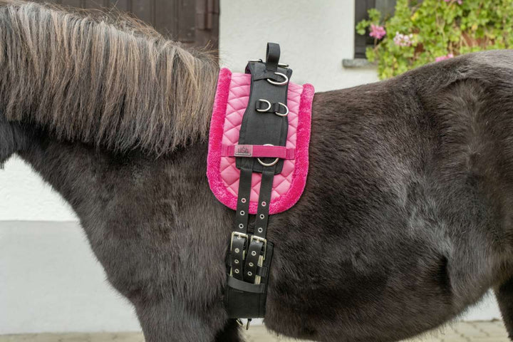 USG Mini Shetty longeringsgjord